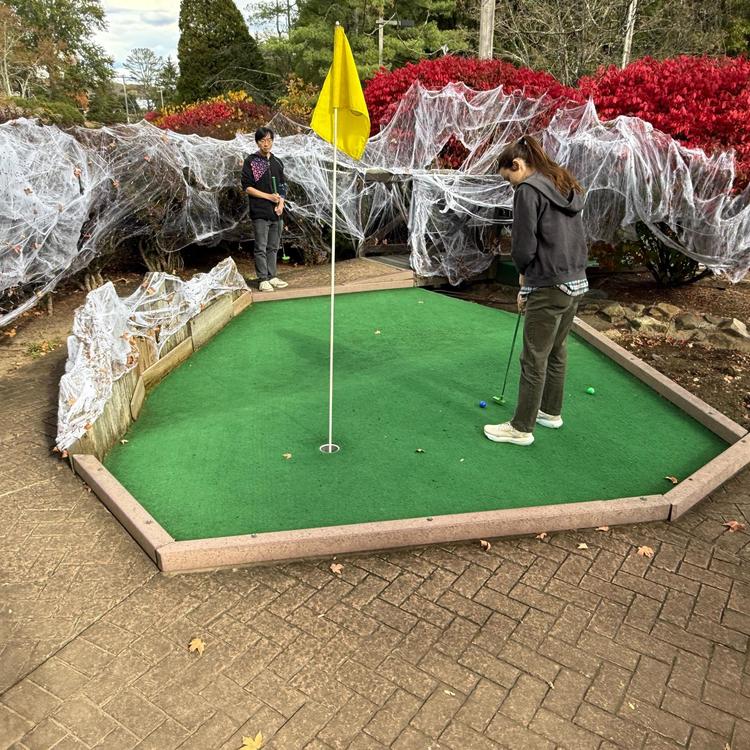Mini golf